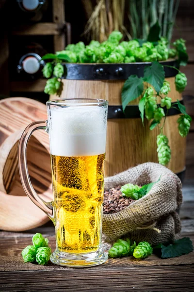 Cellar full of fresh beer — Stock Photo, Image