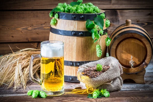 Green and gold are the colors of beer — Stock Photo, Image