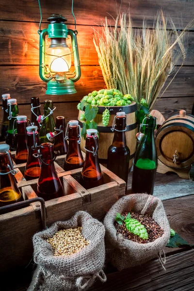 Dégustation de bière brassée maison dans la cave — Photo