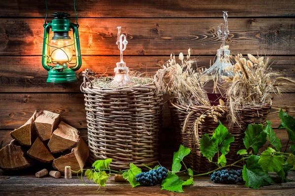 Ingredients for homemade red wine — Stock Photo, Image
