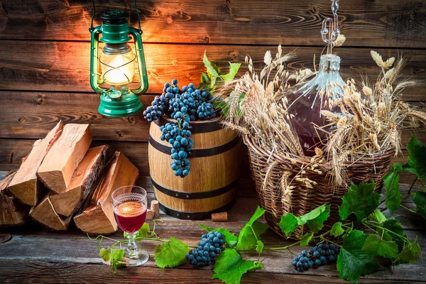 Tasting red wine straight from the demijohn — Stock Photo, Image