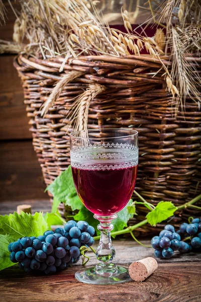 Taste of red wine straight from the demijohn — Stock Photo, Image