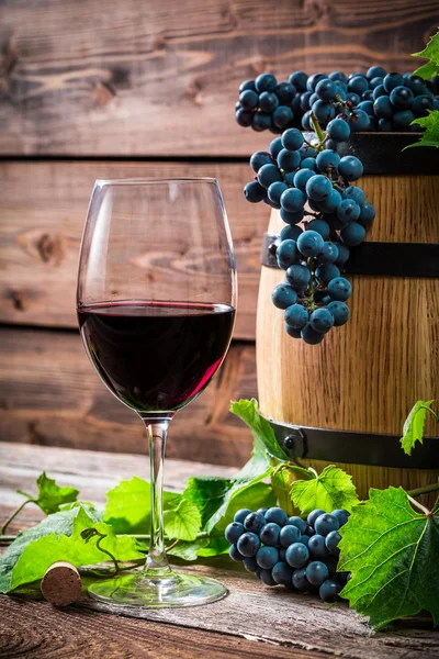 Rote Trauben und ein Glas Rotwein — Stockfoto