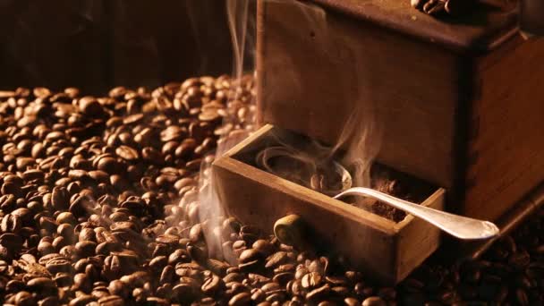 Aroma de granos de café recién tostados — Vídeo de stock