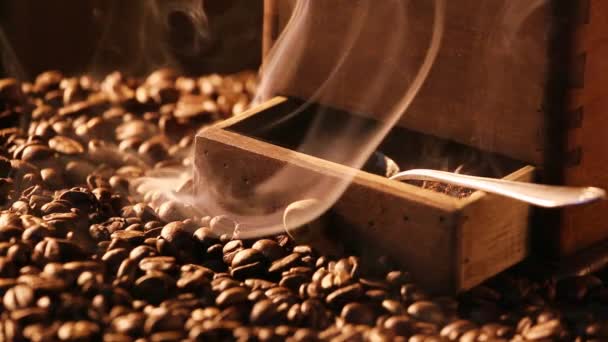 Moulin à café avec des grains fraîchement broyés — Video