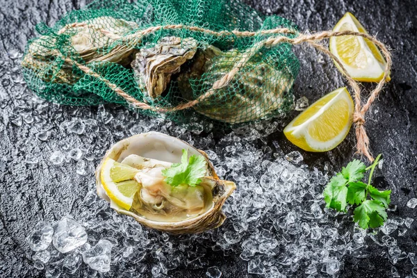 Välsmakande ostron i skalet på krossad is redo att äta — Stockfoto