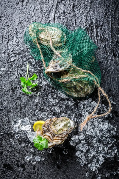 Deliziose ostriche sul ghiaccio pronte da mangiare — Foto Stock
