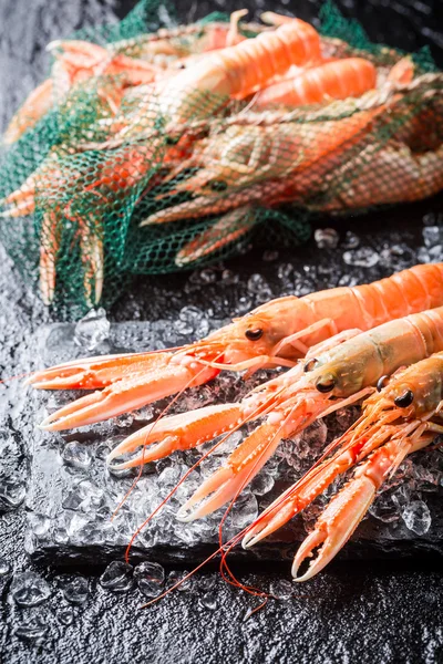 Des langoustines fraîches sur glace — Photo