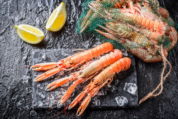 Fresh scampi on black rock — Stock Photo, Image