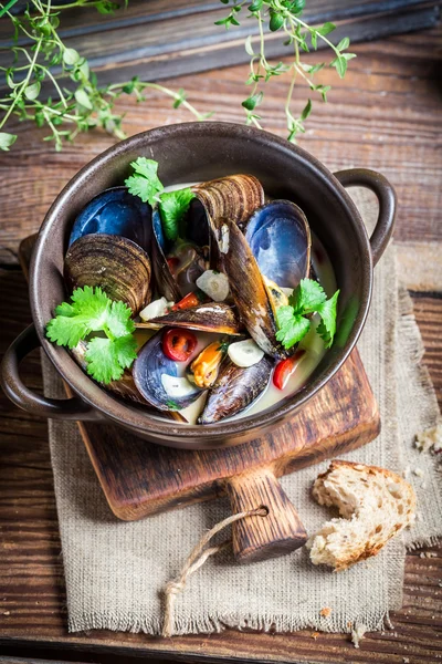 Tasty mussels with garlic and red peppers — Stock Photo, Image