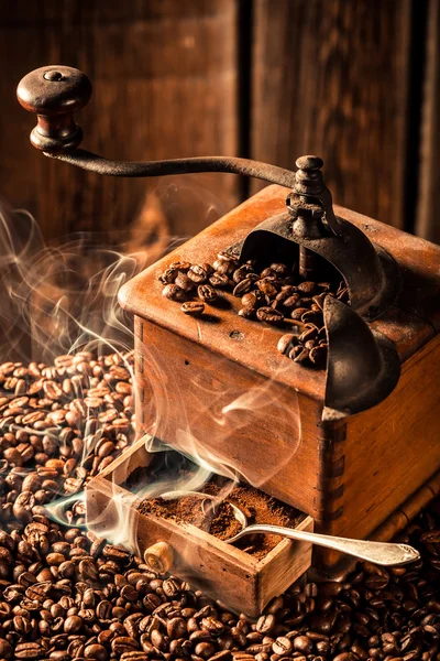 Taste of fresh coffee seeds — Stock Photo, Image