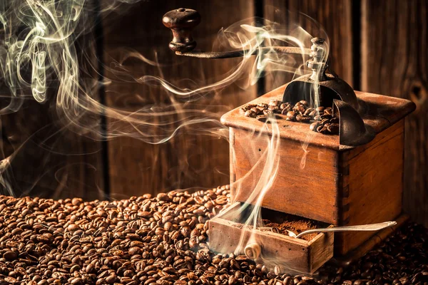 Taste of fresh coffee beans — Stock Photo, Image