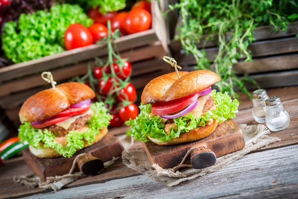 Delizioso hamburger con verdure — Foto Stock