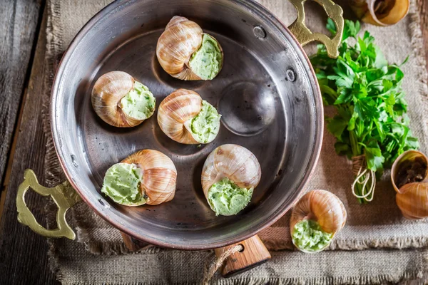 Homemade snail — Stock Photo, Image