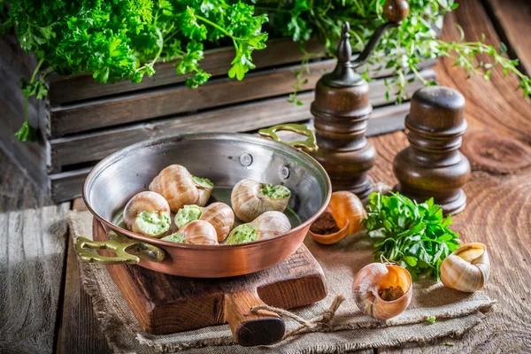 Fresh snail — Stock Photo, Image