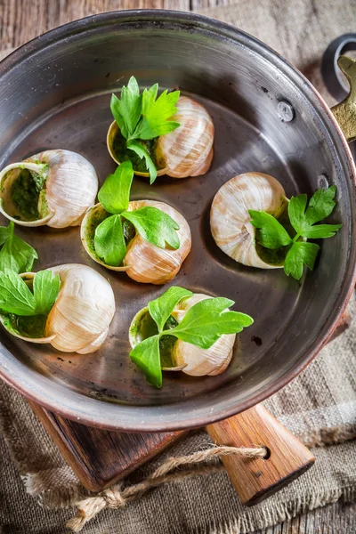 Gebratene Schnecke — Stockfoto