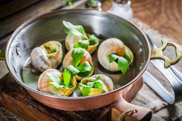 Cooking snail — Stock Photo, Image