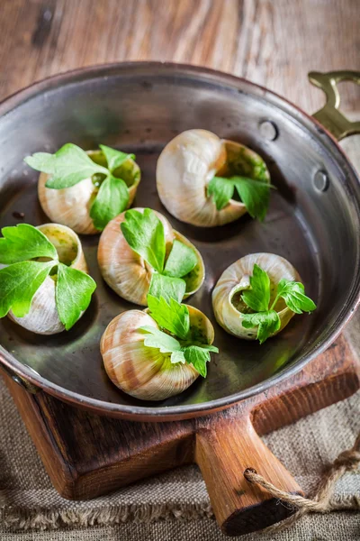 Hot and fresh snail — Stock Photo, Image