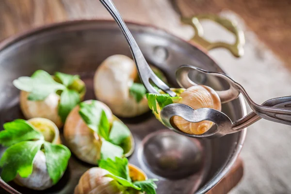 Eating roasted snails — Stock Photo, Image