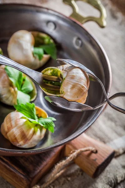 Eating cooking snails — Stock Photo, Image