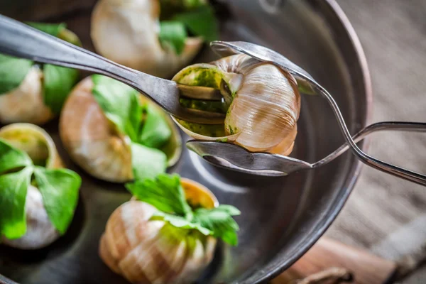 Tasting hot and fresh snails — Stock Photo, Image