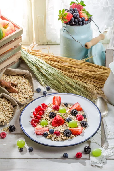 Berry meyve ve süt ile sağlıklı yulaf ezmesi — Stok fotoğraf