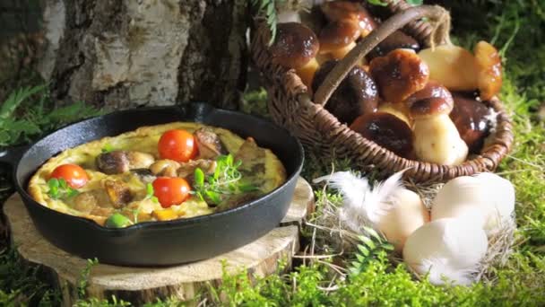 Ovos mexidos para o pequeno-almoço na floresta ao nascer do sol — Vídeo de Stock