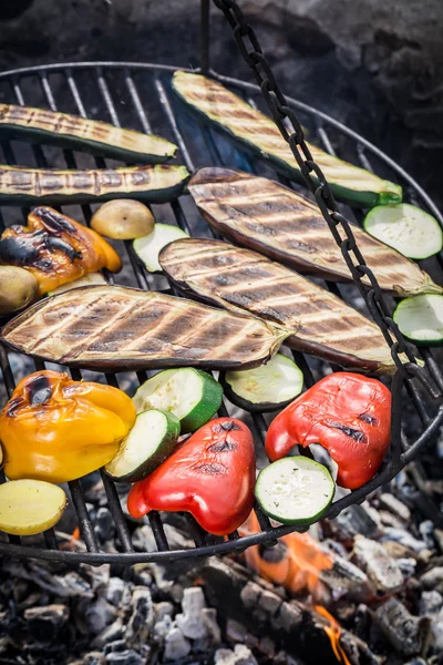 Grilling fresh vegetables with spices in garden — Stock Photo, Image