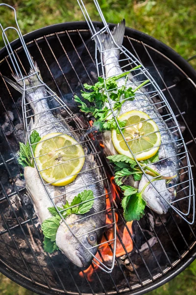 Asar pescado sabroso a la parrilla con limón y hierbas — Foto de Stock