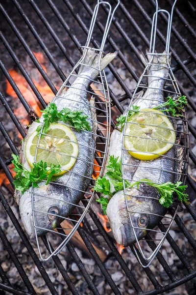 Poisson frais aux herbes et citron pour griller — Photo