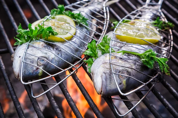 Świeże ryby z ziołami i cytryną na grilla — Zdjęcie stockowe