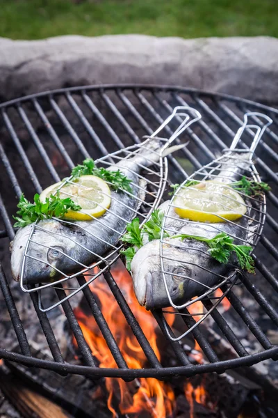 新鲜的鱼，用柠檬和香草烤 — 图库照片