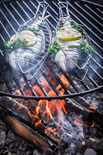 허브와 레몬 굽고에 대 한 맛 있는 생선 — 스톡 사진