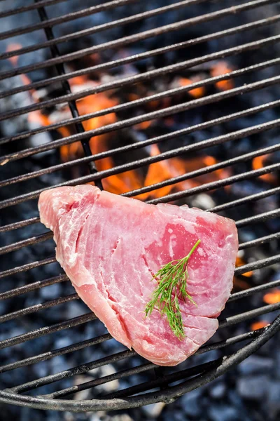 Prażenie czerwony tuńczyk z cytryną i koperkiem — Zdjęcie stockowe