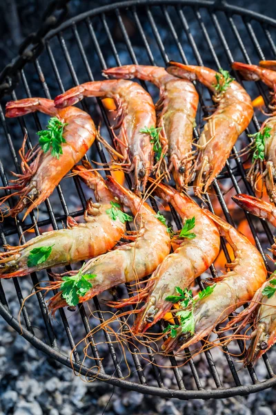 Gamberetti grandi con limone e prezzemolo sulla griglia calda — Foto Stock