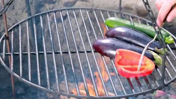 Grilled vegetables on fireplace with flames — Stock Video