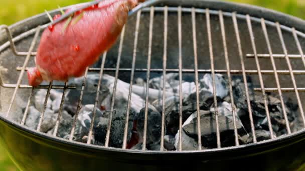 Grilled fresh red piece of steak on hot coals — Stock Video