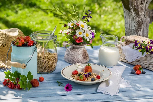 Sommarfrukost i trädgården — Stockfoto
