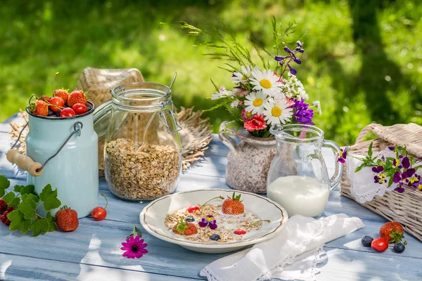 Landsbygden frukost i trädgården — Stockfoto