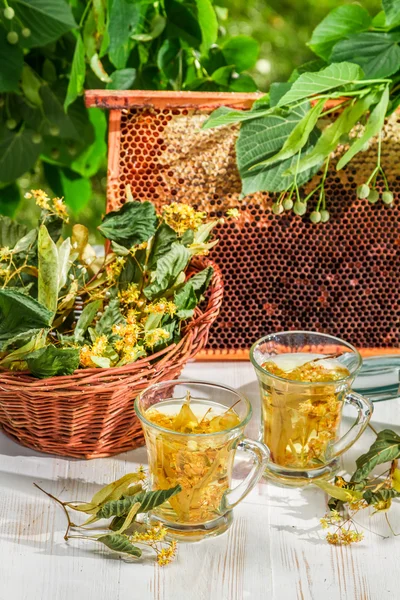 Tea with lime and honey — Stock Photo, Image