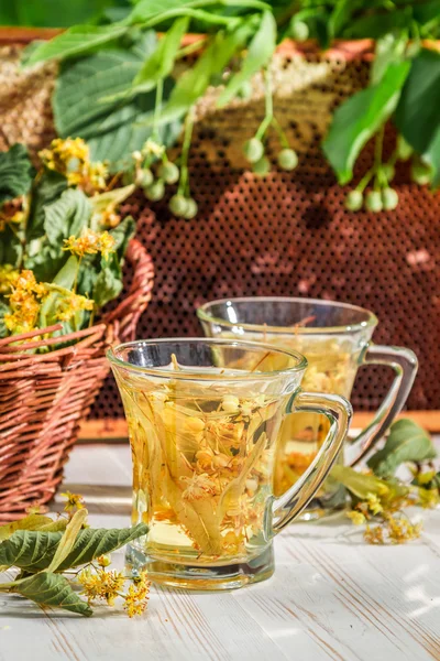 Tea with lime and honey served in the garden at summer — Stock Photo, Image