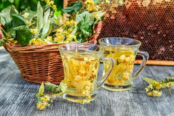 Summer lime tea with honey served in the garden — Stock Photo, Image