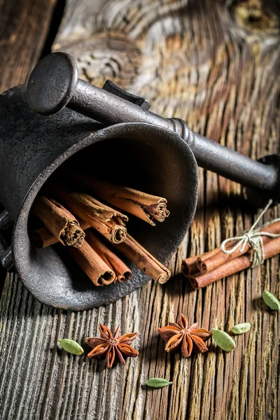 Mortar with spicy condiments — Stock Photo, Image