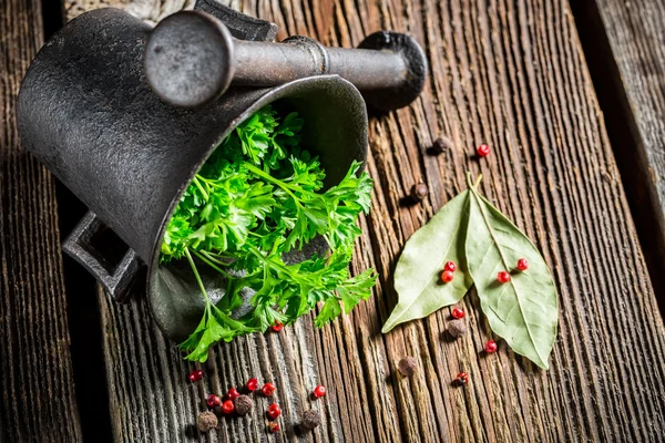 Mortar with good condiments — Stock Photo, Image