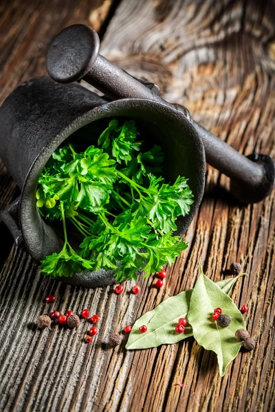 Colorful condiments in mortar — Stockfoto