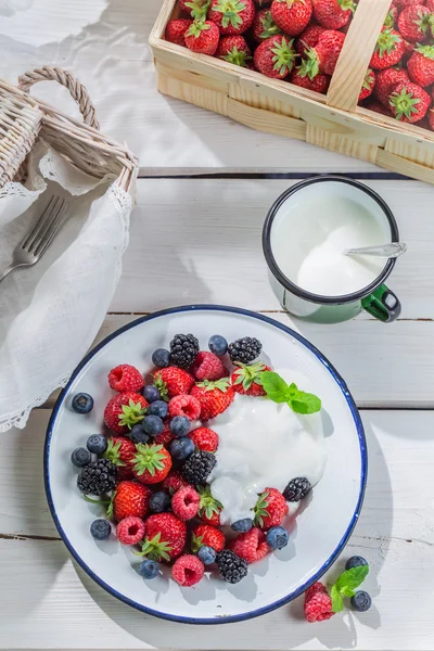 Tasty berry fruits with cream — Stockfoto