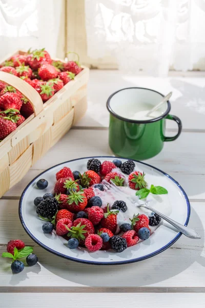 Fresh fruits with yogurt — 스톡 사진