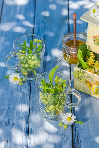 Healthy tea with honey with in summer — Stock Photo, Image