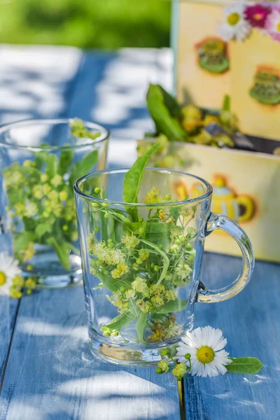 Healthy tea with honey with in sunny garden — Stockfoto