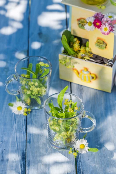 Healthy tea with honey with in sunny day — Stockfoto